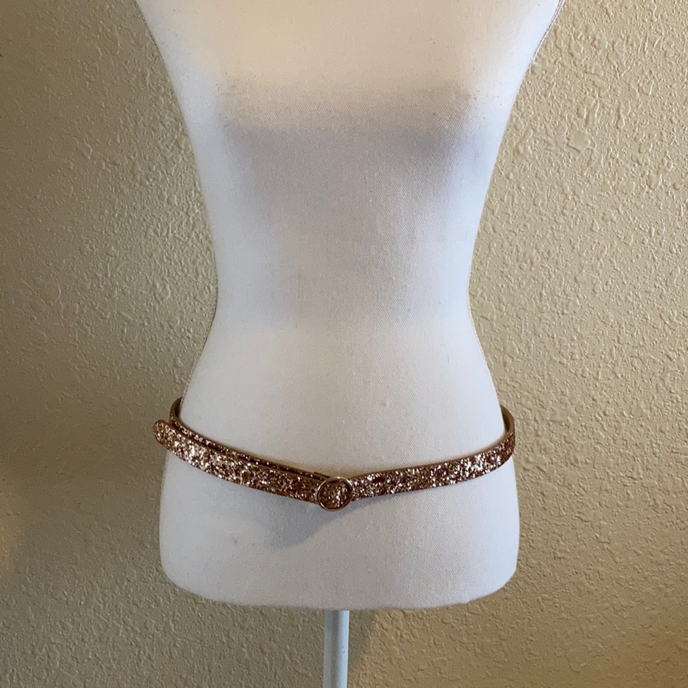 5 for $20 MIX N MATCH Glitter Belt